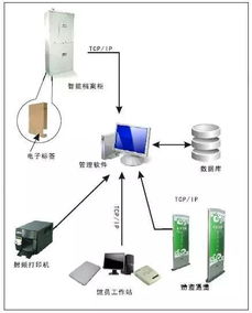 互聯網零售下半場 阿里、蘇寧、京東的三條岔路
